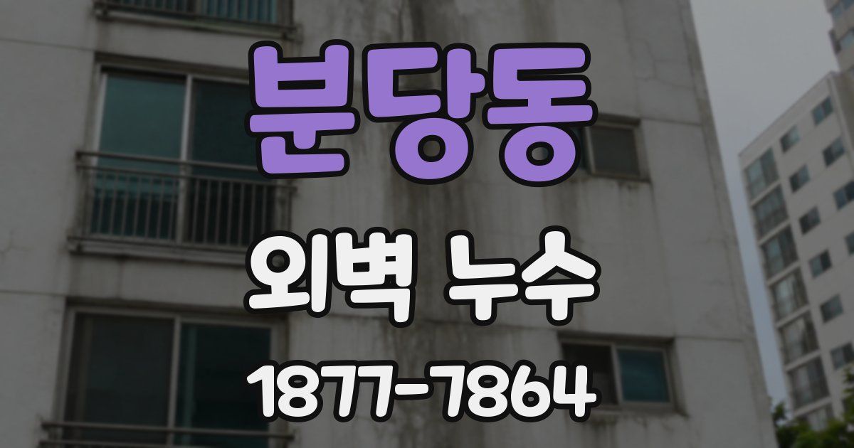 분당동 외벽 누수