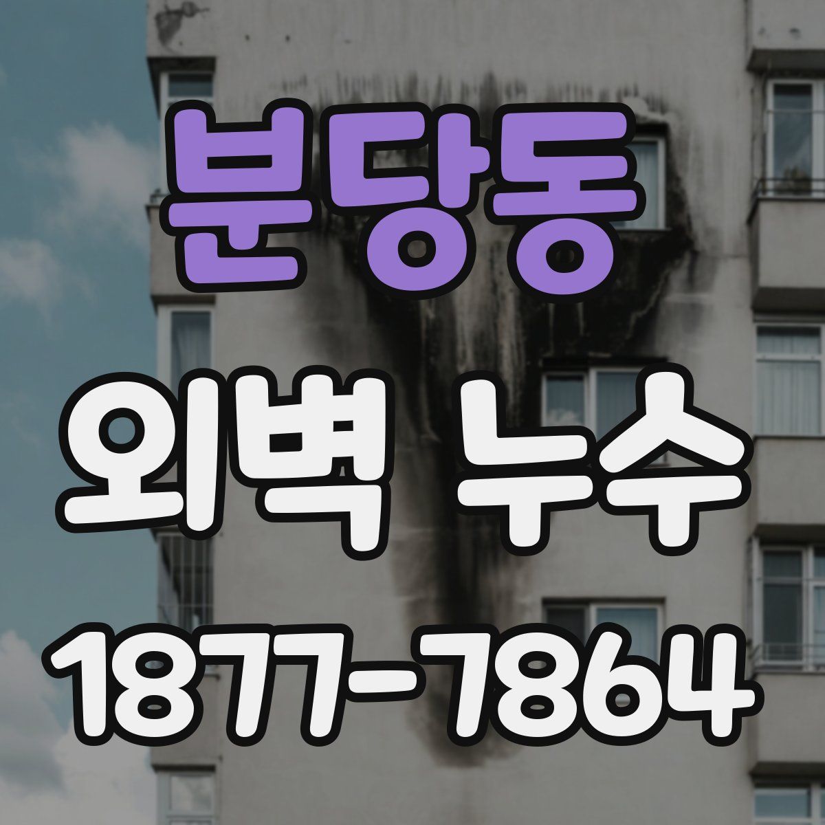 분당동 외벽 누수