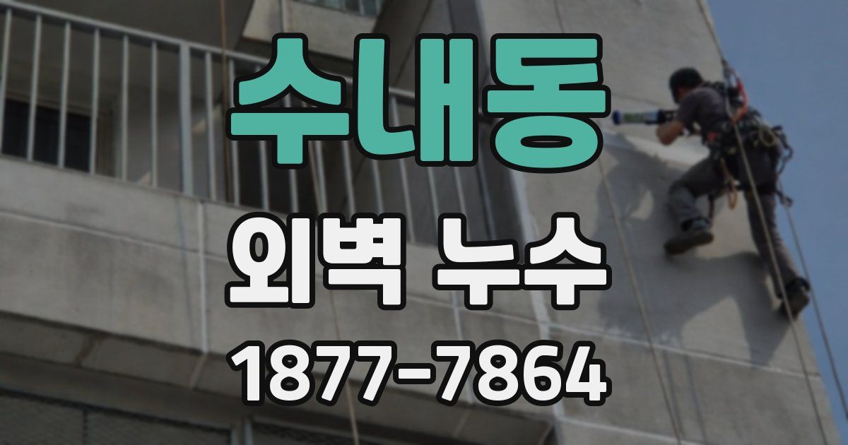 수내동 외벽 누수
