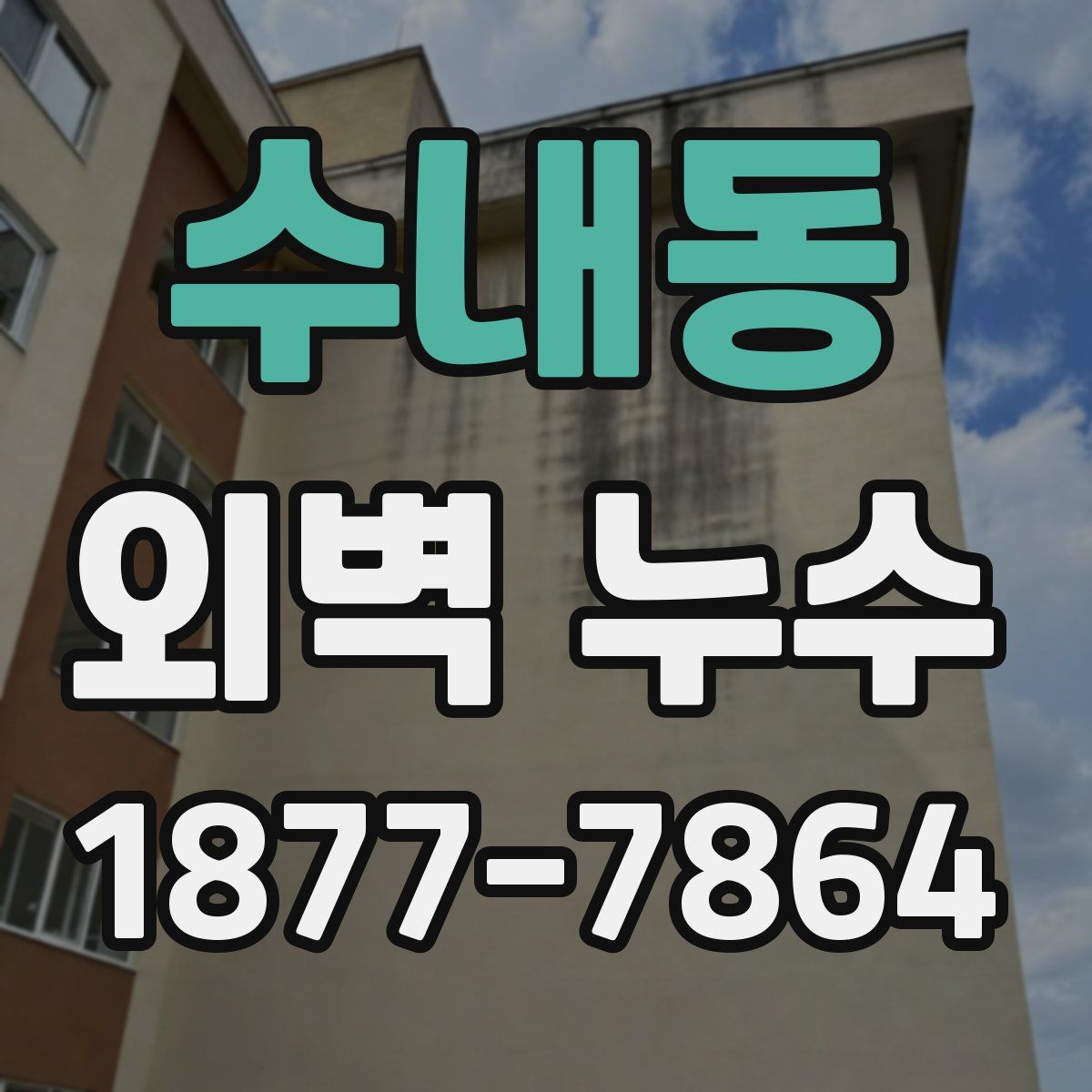 수내동 외벽 누수