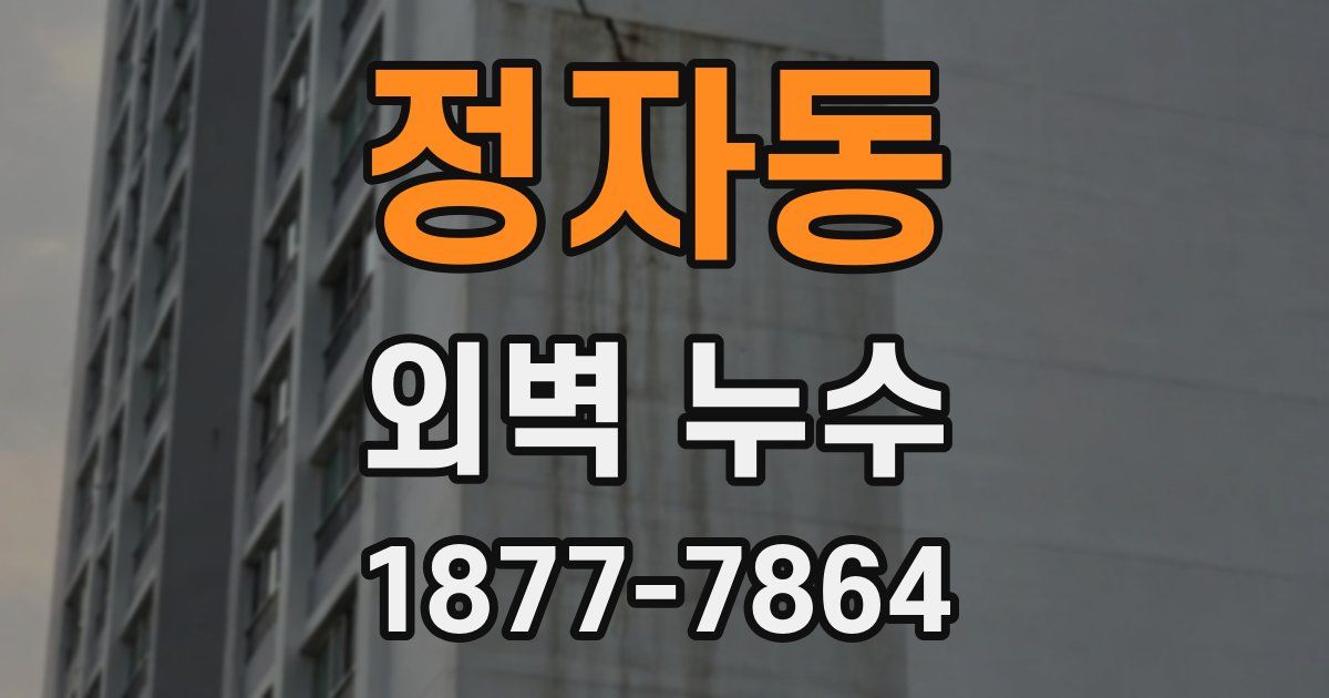 정자동 외벽 누수