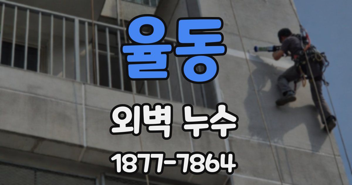 율동 외벽 누수