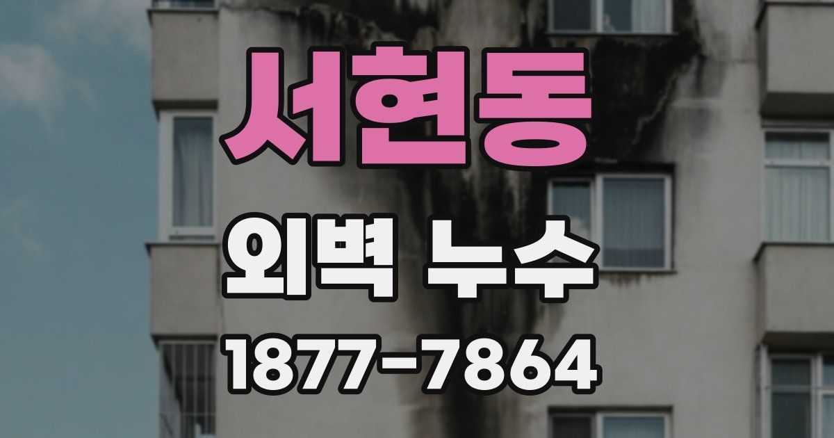 서현동 외벽 누수