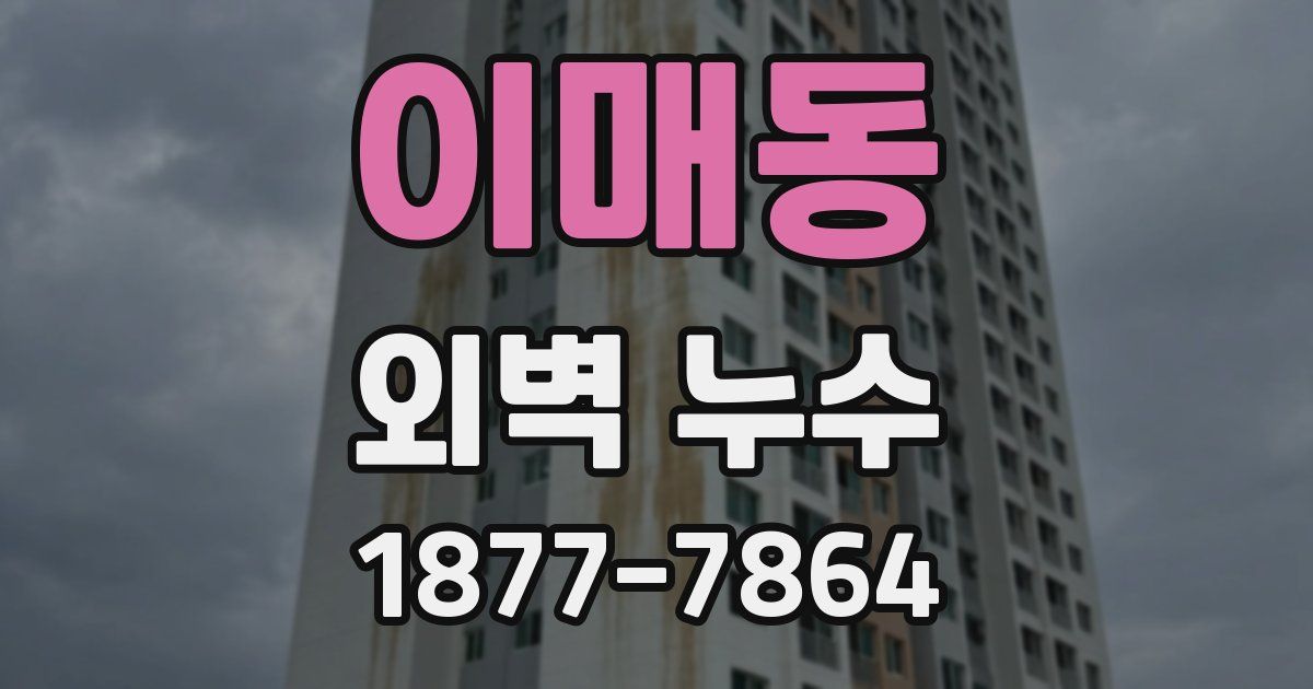 이매동 외벽 누수