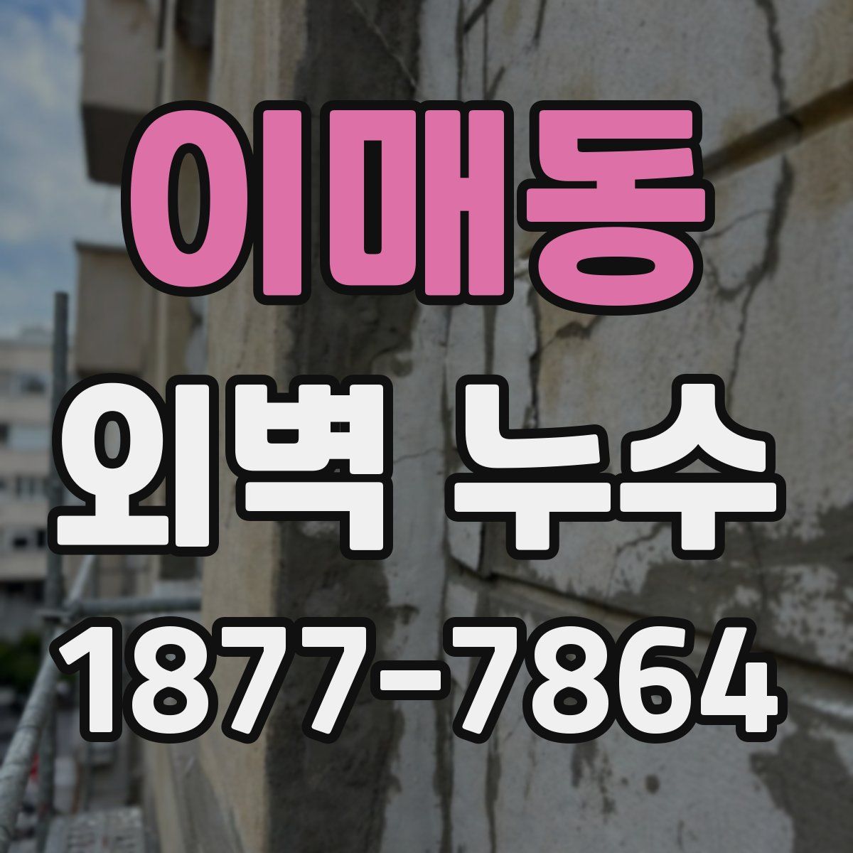 이매동 외벽 누수