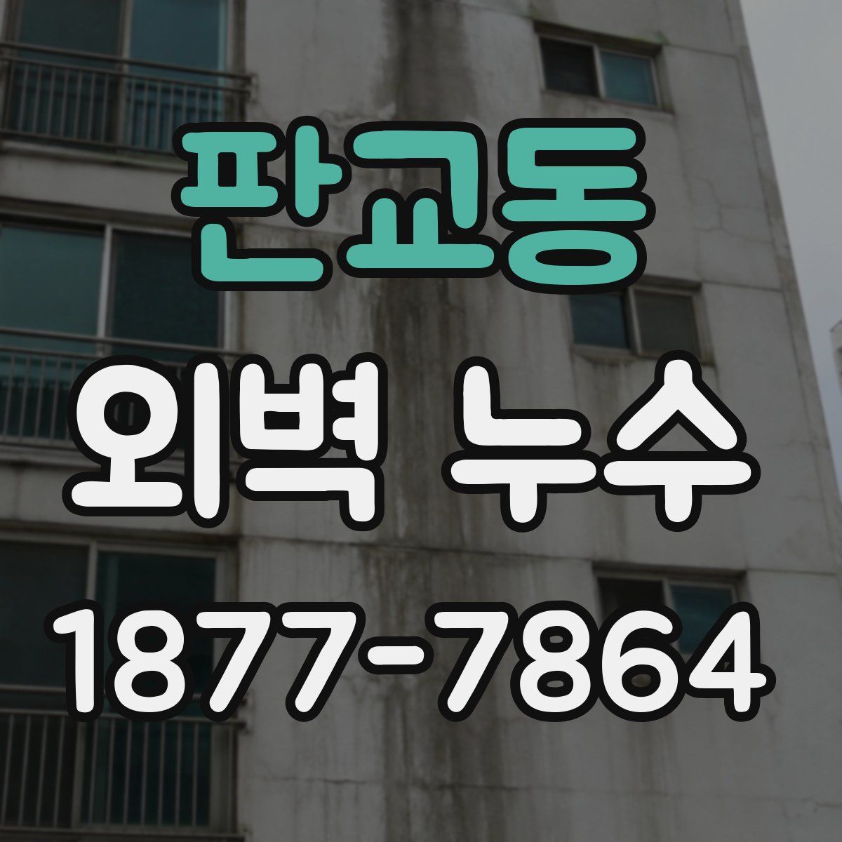 판교동 외벽 누수
