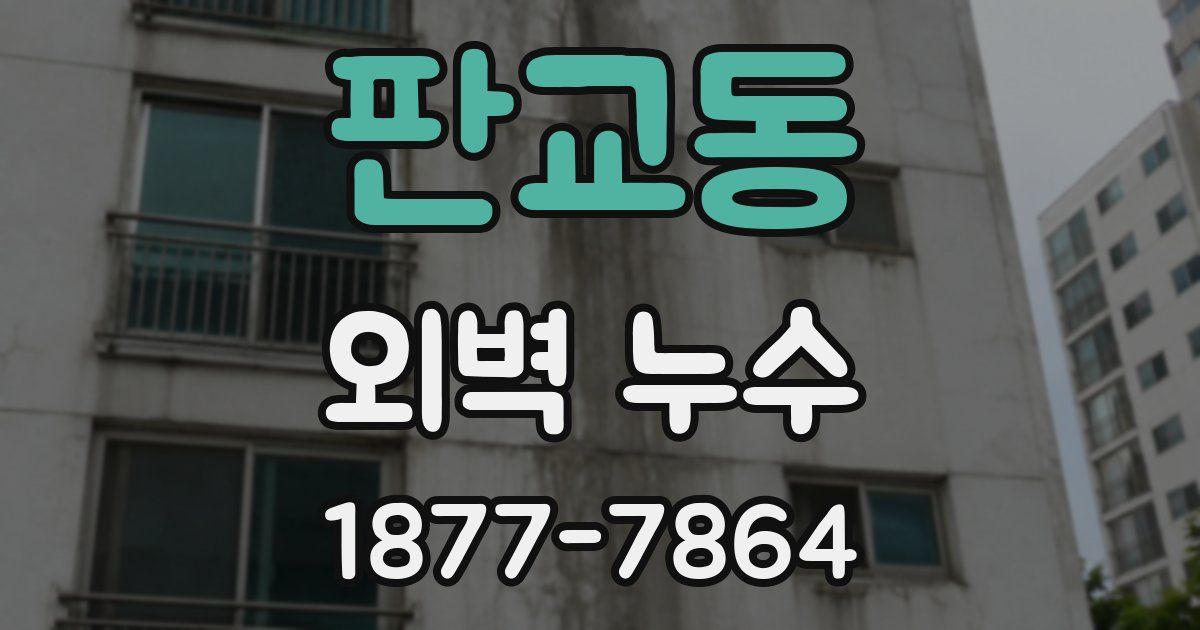 판교동 외벽 누수