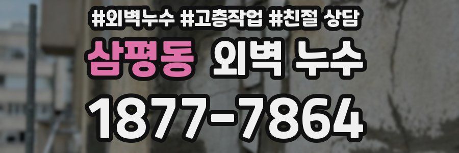 삼평동 외벽 누수