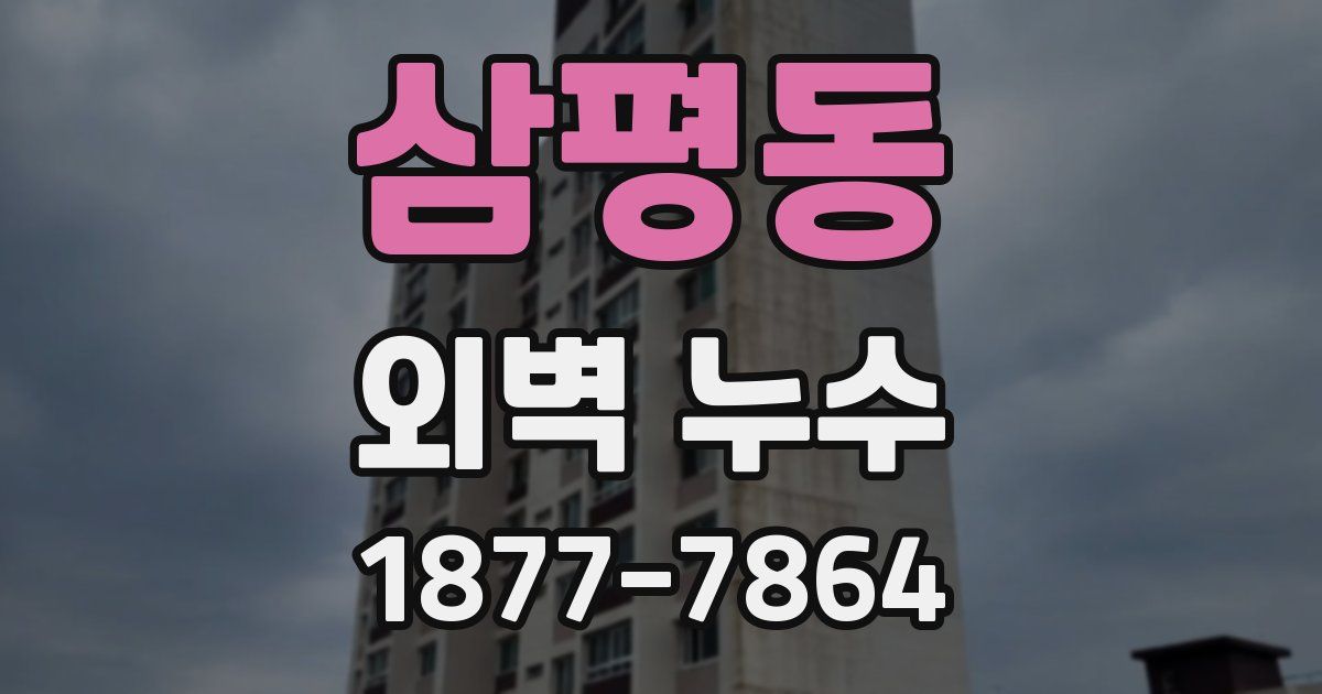 삼평동 외벽 누수