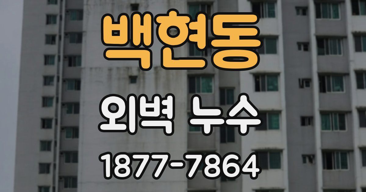 백현동 외벽 누수