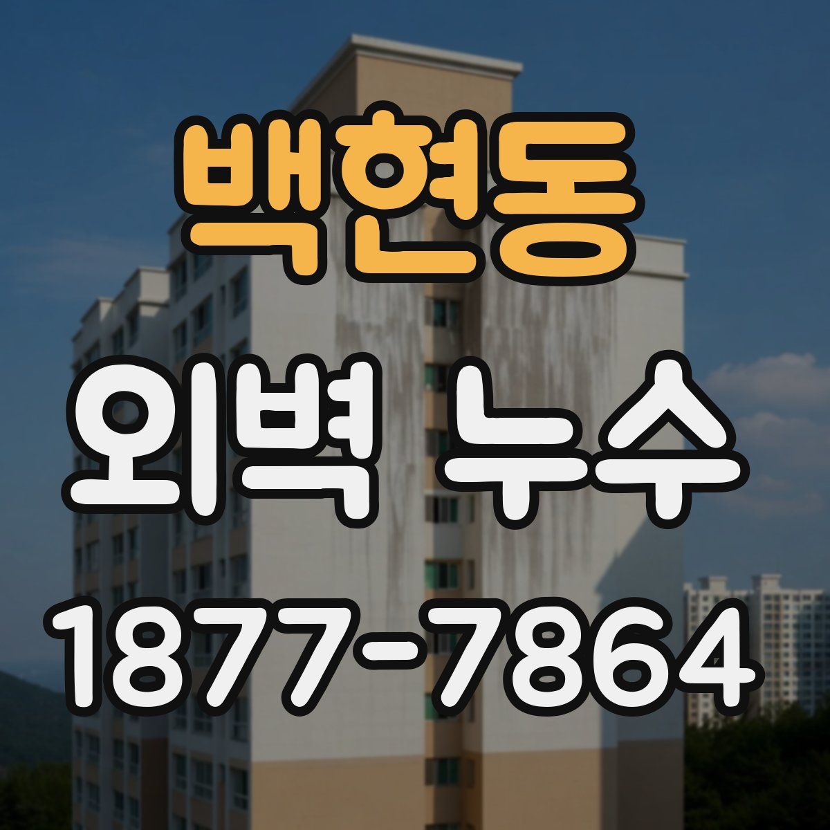 백현동 외벽 누수