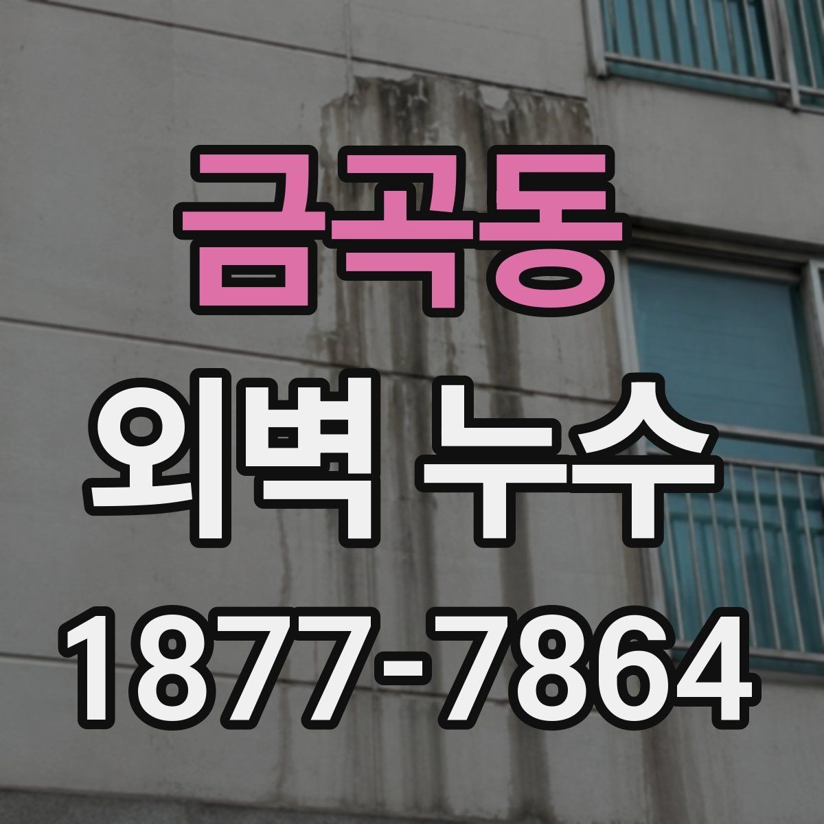 금곡동 외벽 누수 공사 전후 비교해볼 점