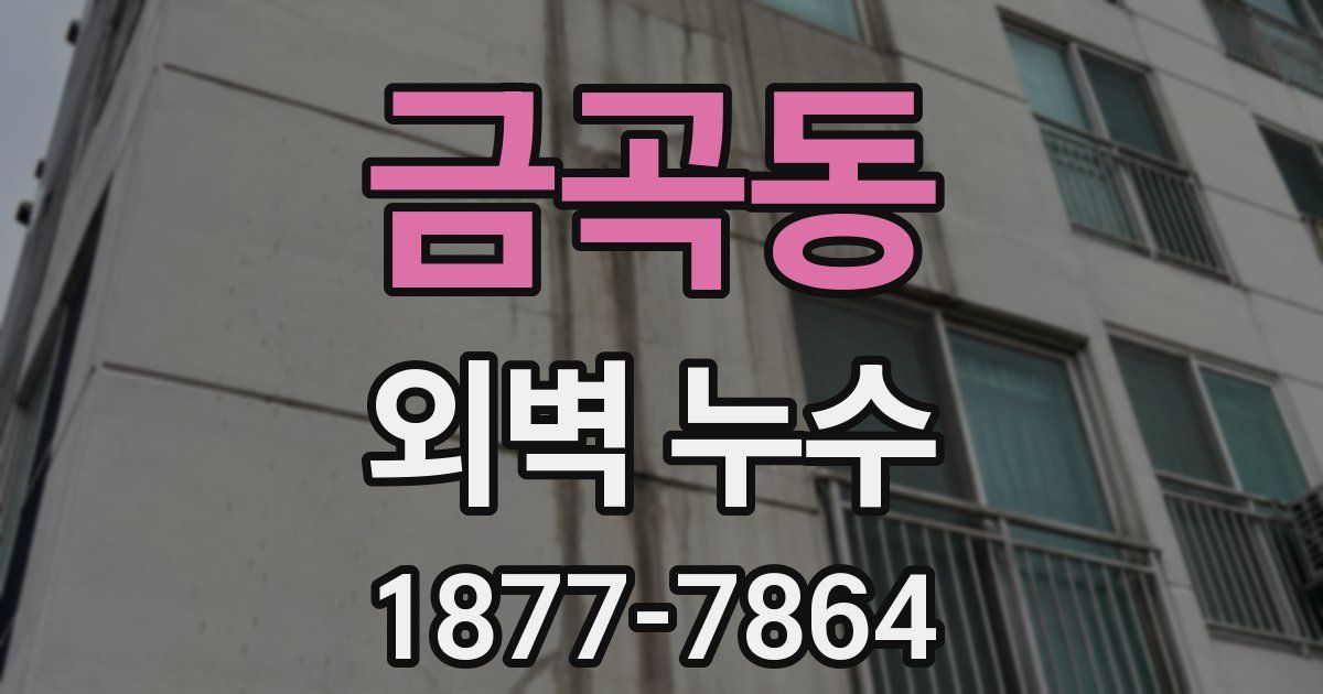 금곡동 외벽 누수