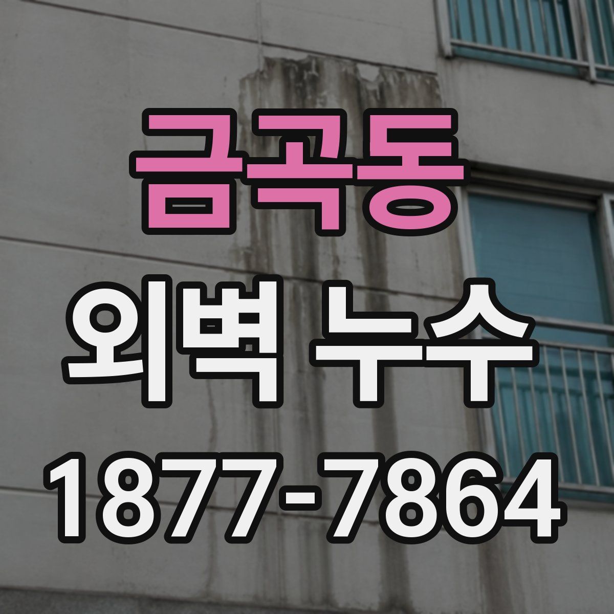 금곡동 외벽 누수