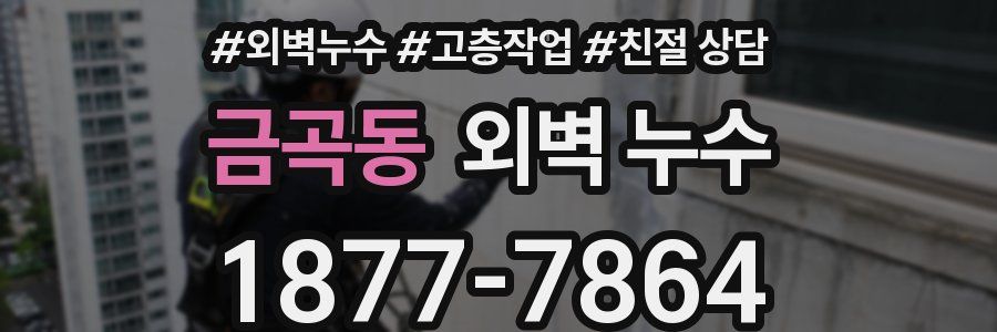 금곡동 외벽 누수