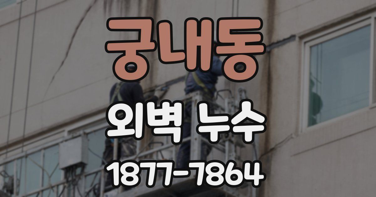 궁내동 외벽 누수