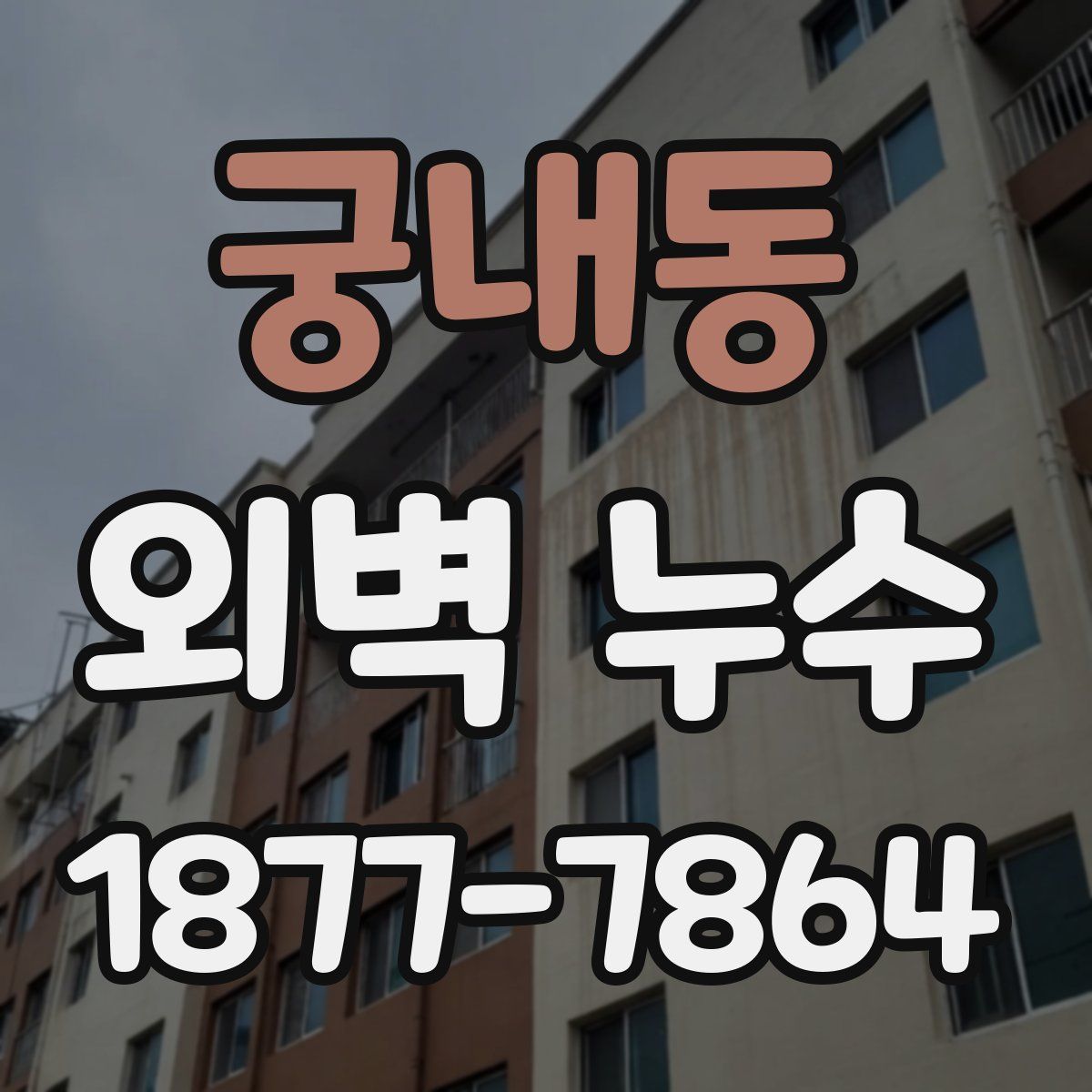 궁내동 외벽 누수