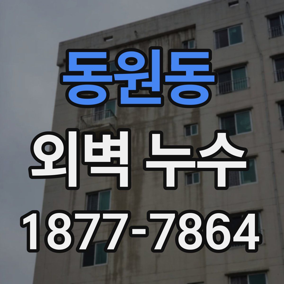 동원동 외벽 누수