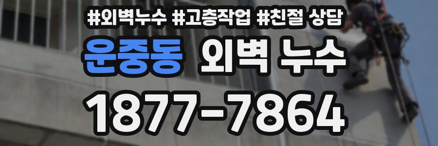 운중동 외벽 누수