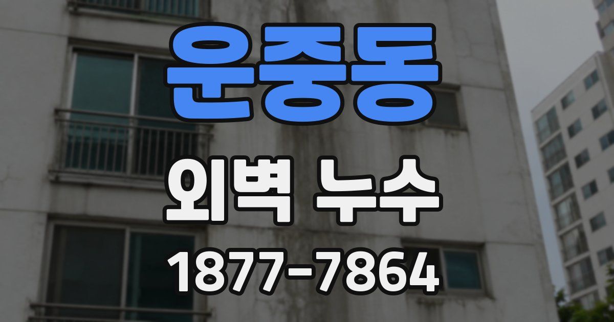 운중동 외벽 누수