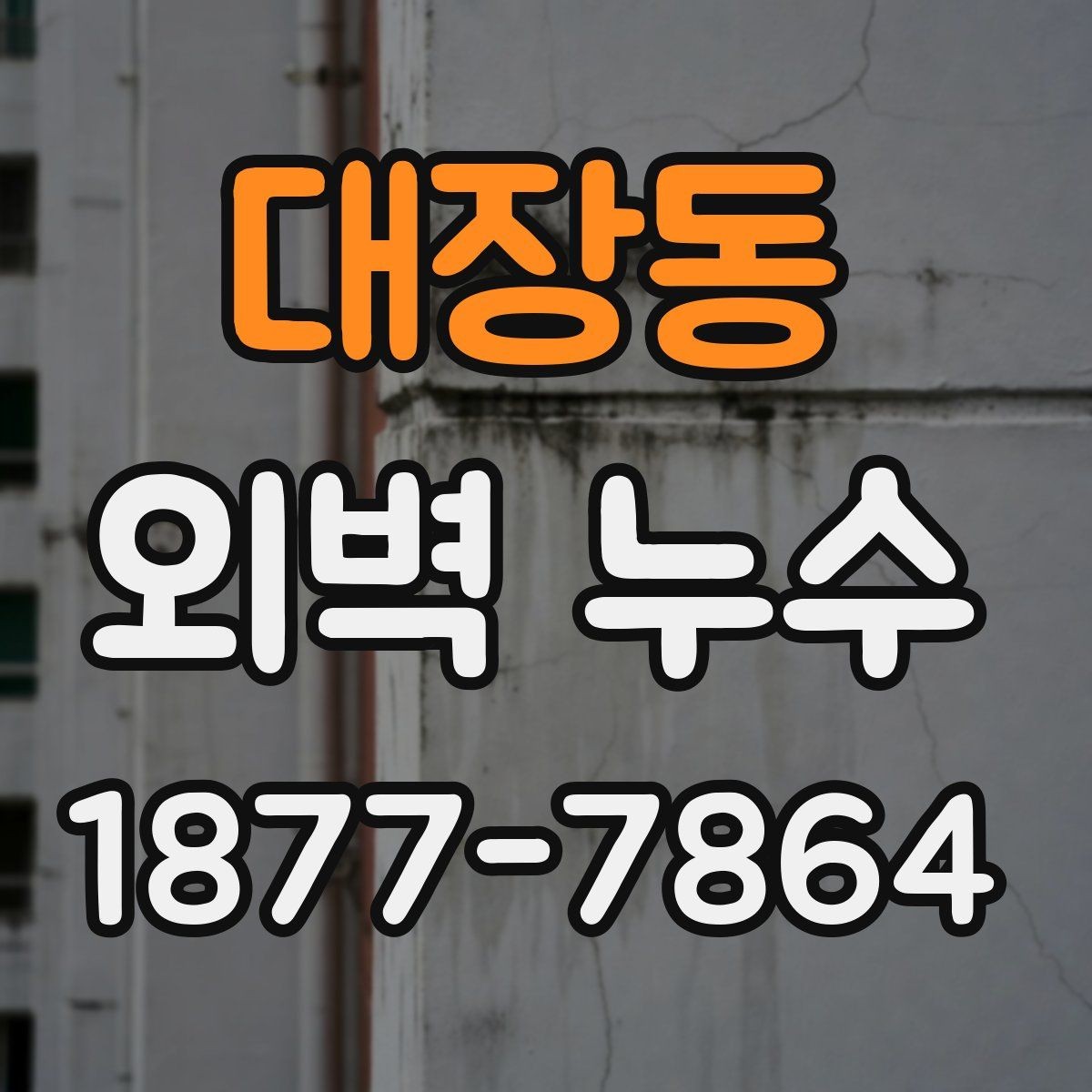대장동 외벽 누수 발생 지점별 점검법