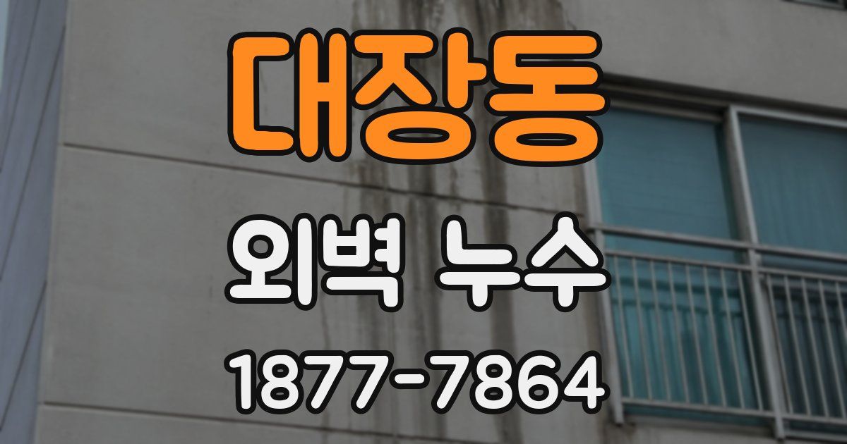 대장동 외벽 누수