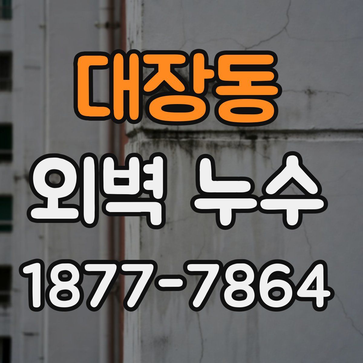 대장동 외벽 누수