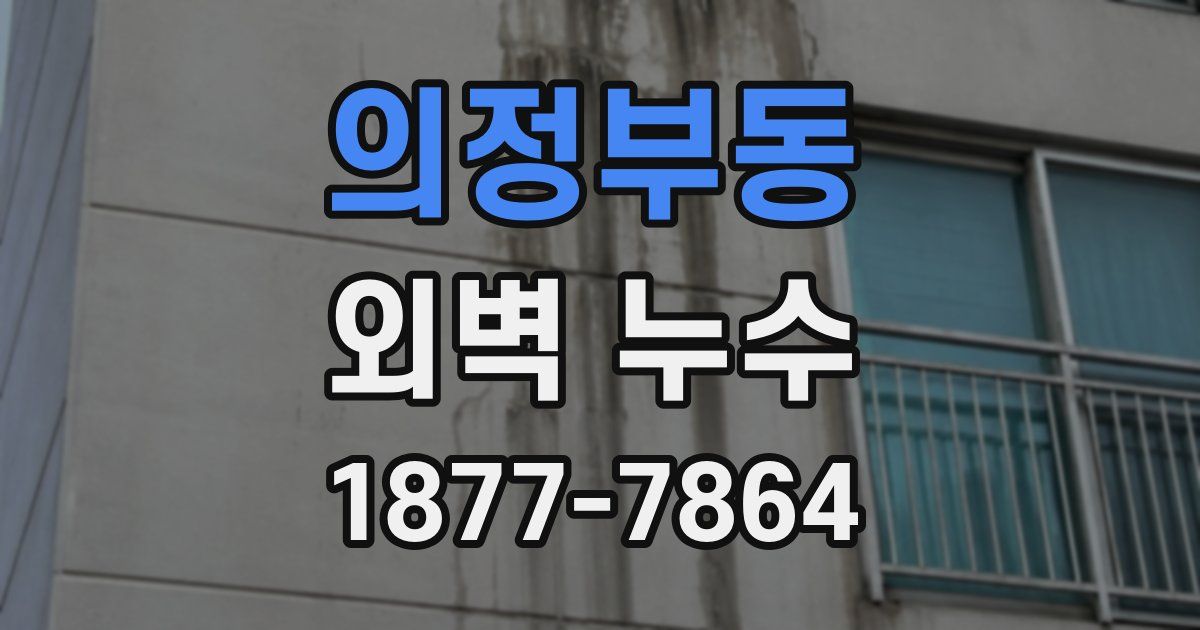 의정부동 외벽 누수