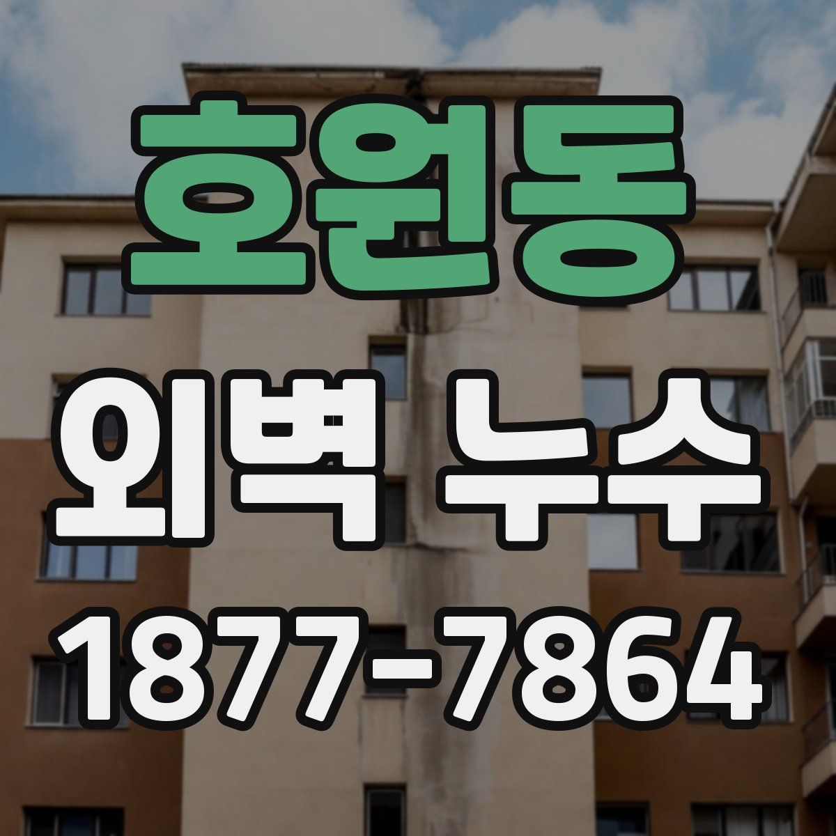 호원동 외벽 누수