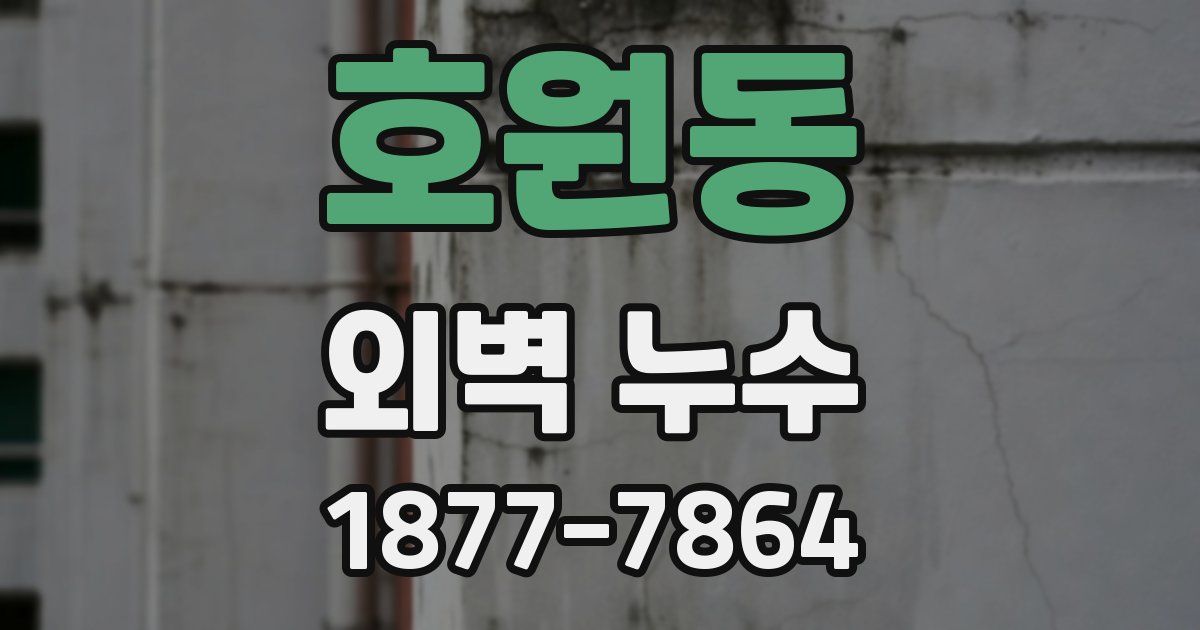 호원동 외벽 누수