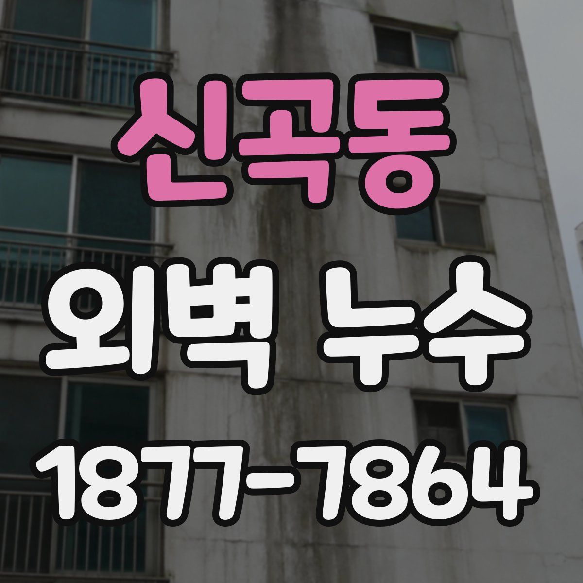 신곡동 외벽 누수