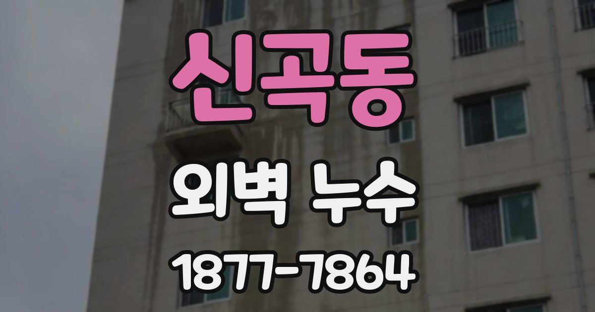 신곡동 외벽 누수