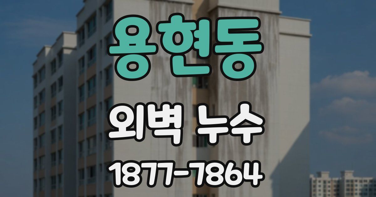 용현동 외벽 누수