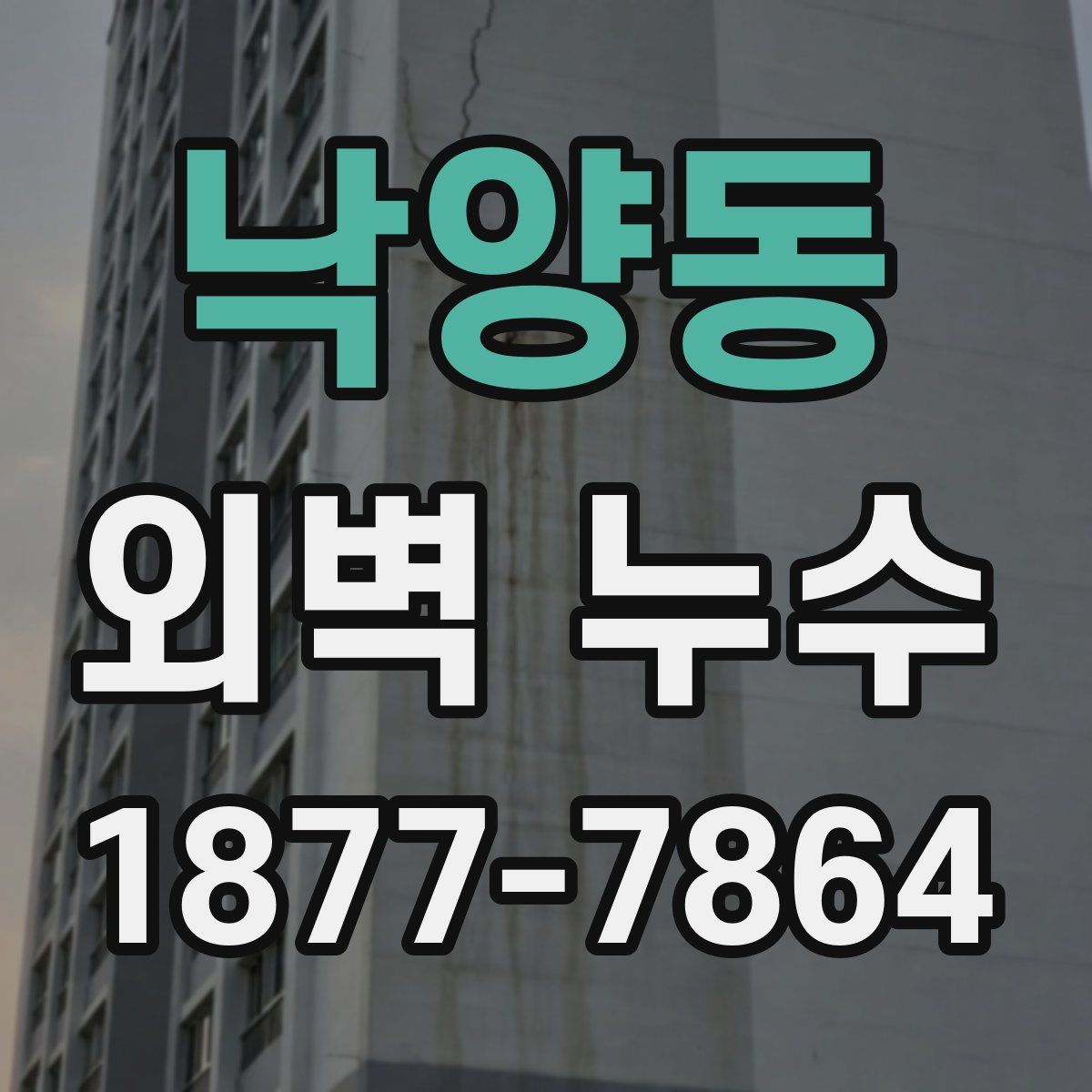 낙양동 외벽 누수