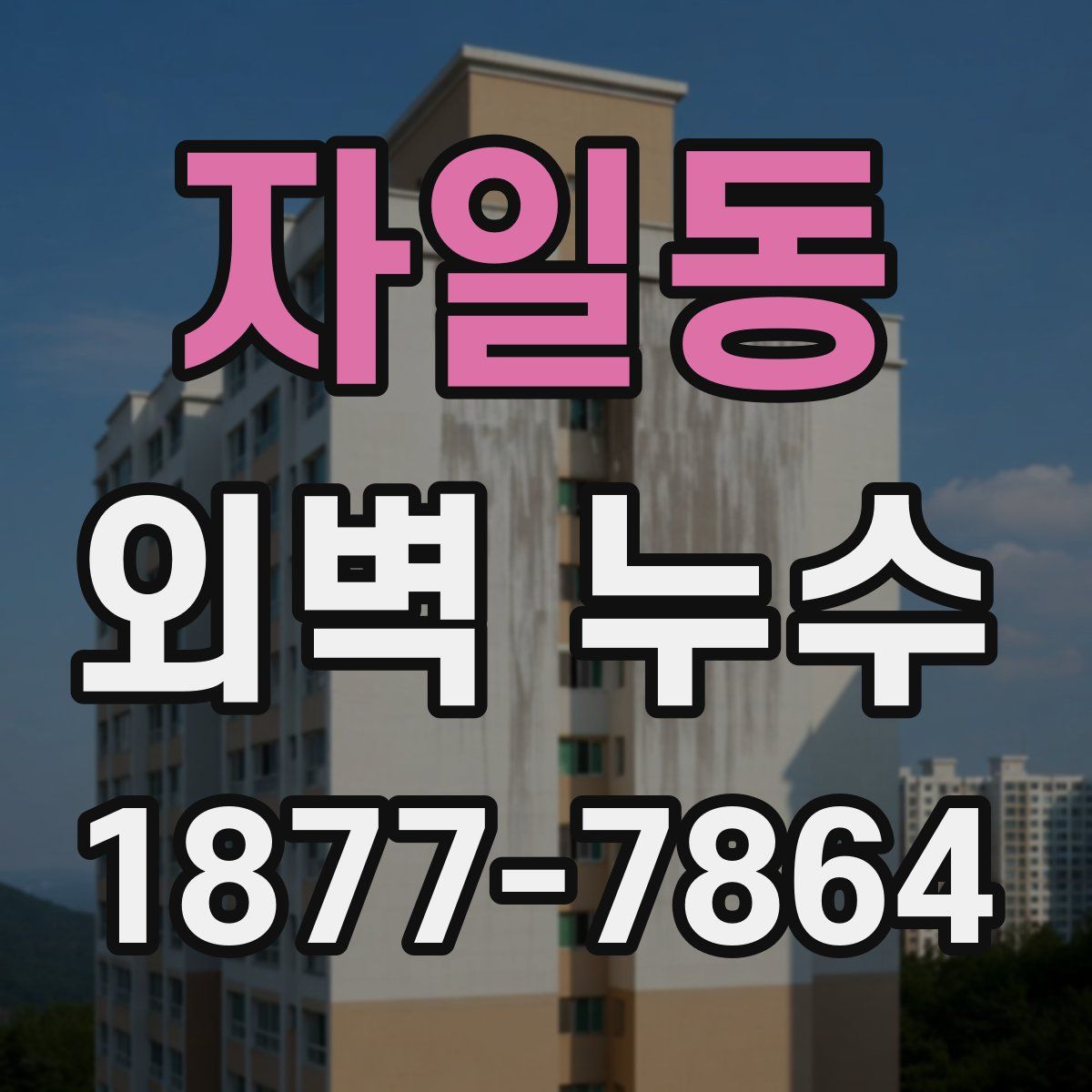 자일동 외벽 누수