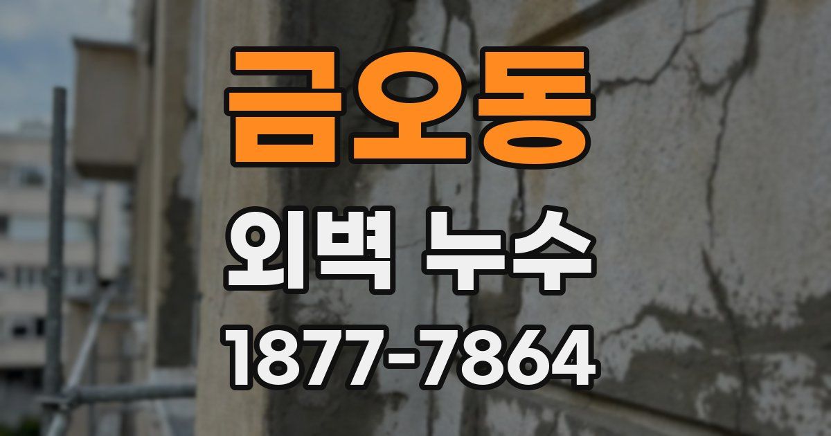 금오동 외벽 누수