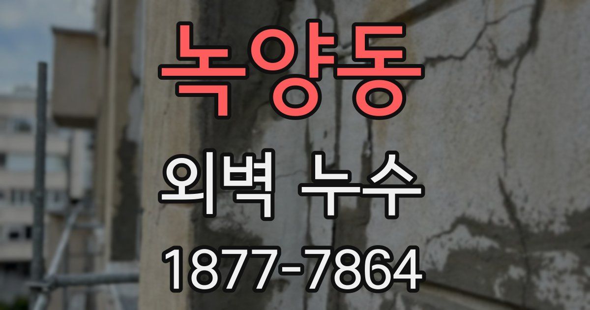 녹양동 외벽 누수