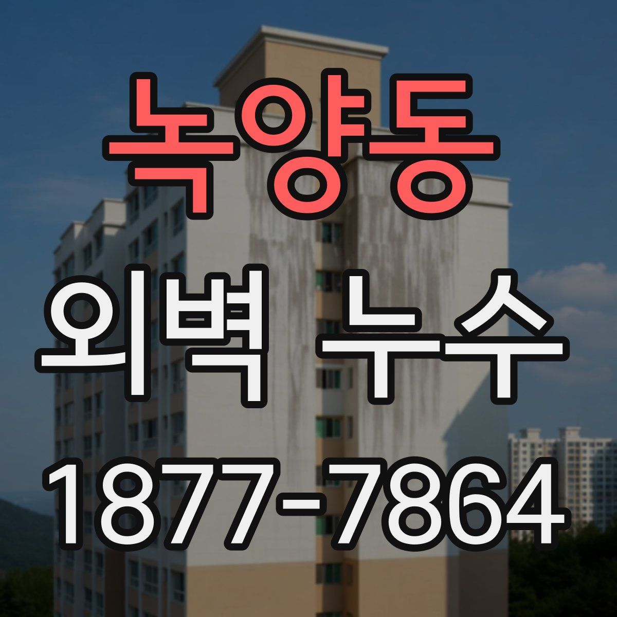 녹양동 외벽 누수