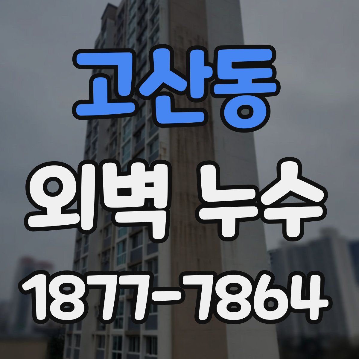 고산동 외벽 누수