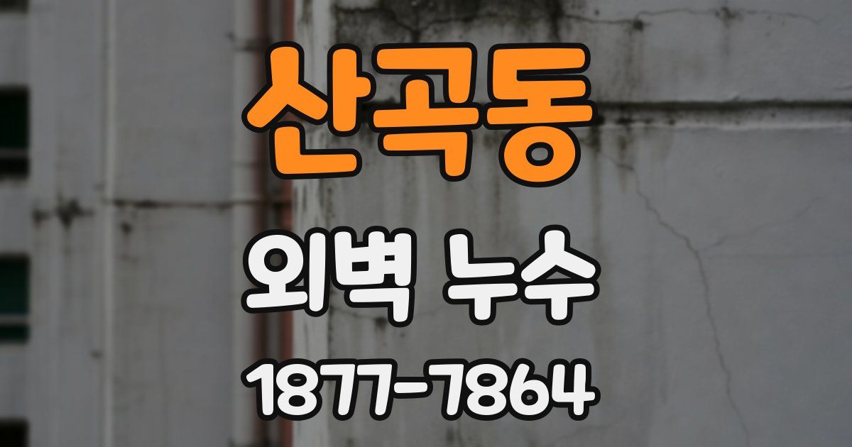 산곡동 외벽 누수