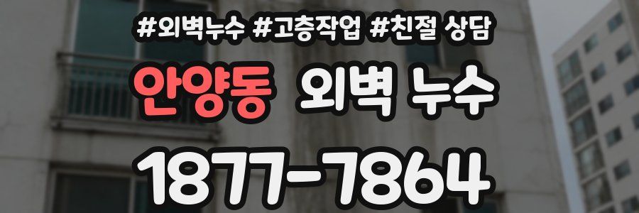 안양동 외벽 누수