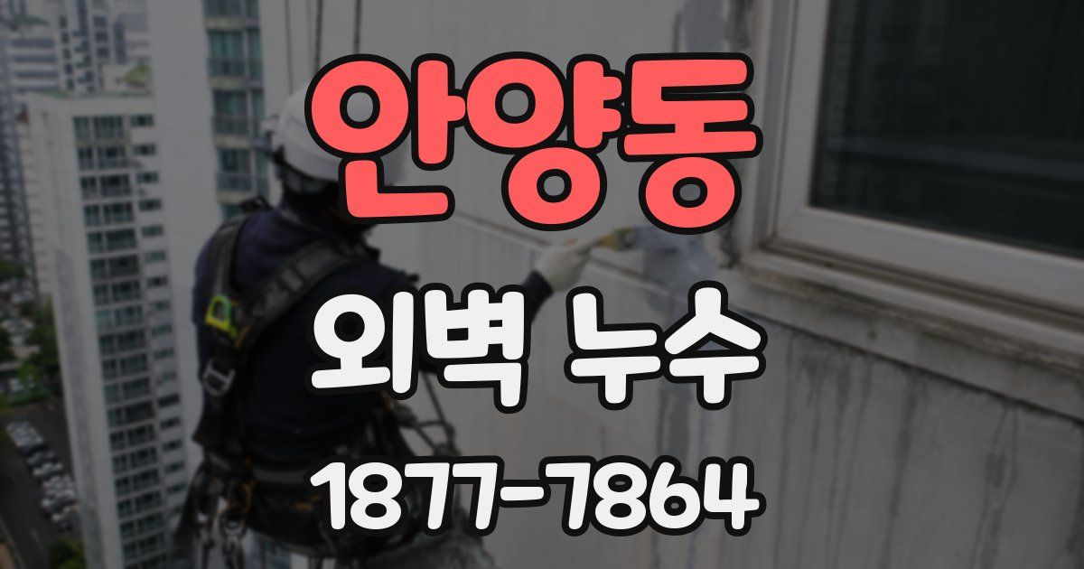 안양동 외벽 누수