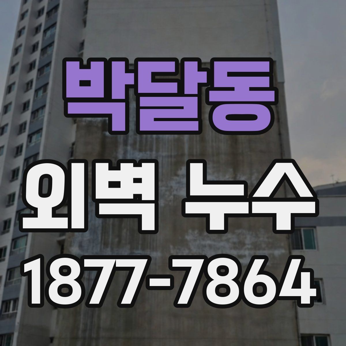 박달동 외벽 누수 확인 후 보수 범위를 정하는 기준
