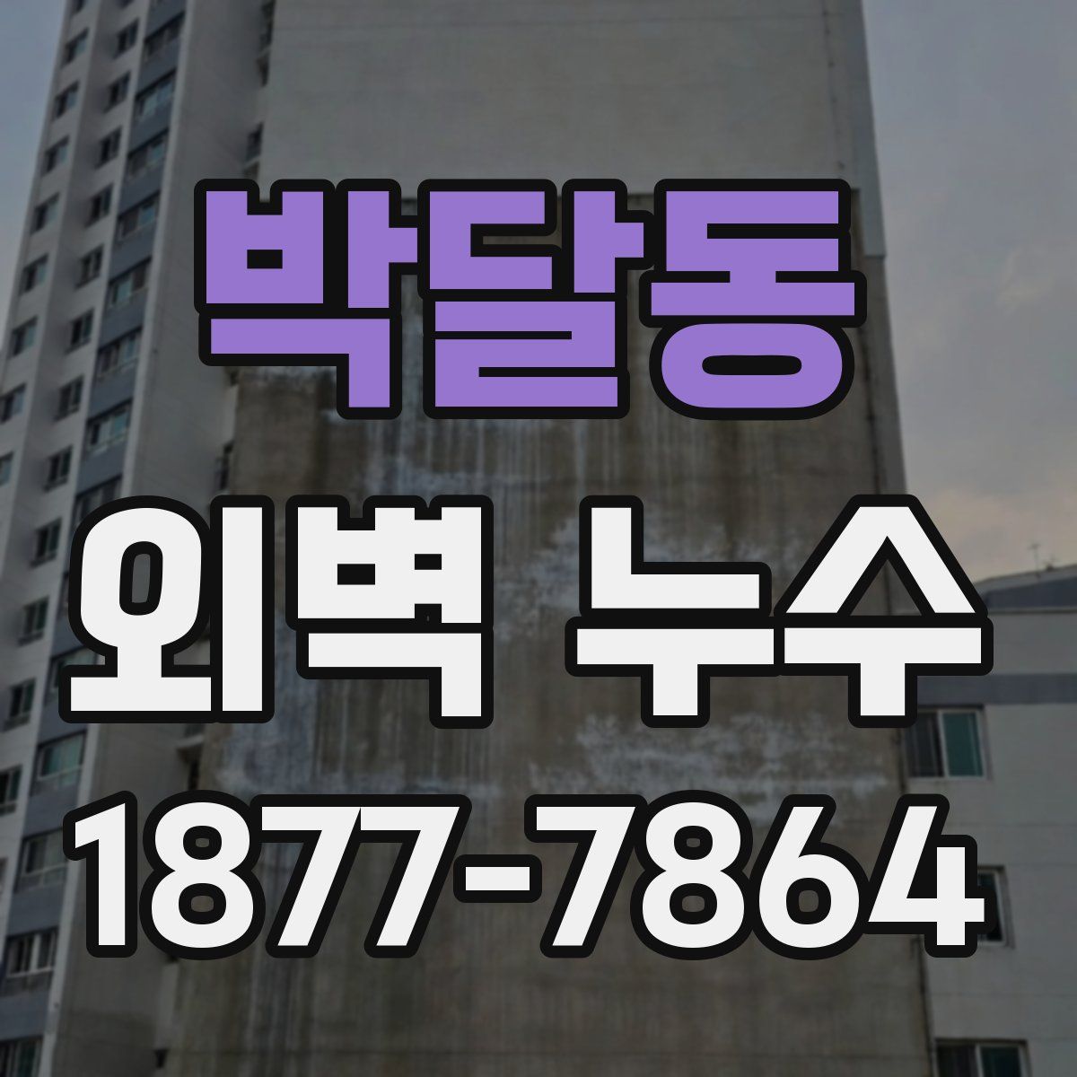 박달동 외벽 누수