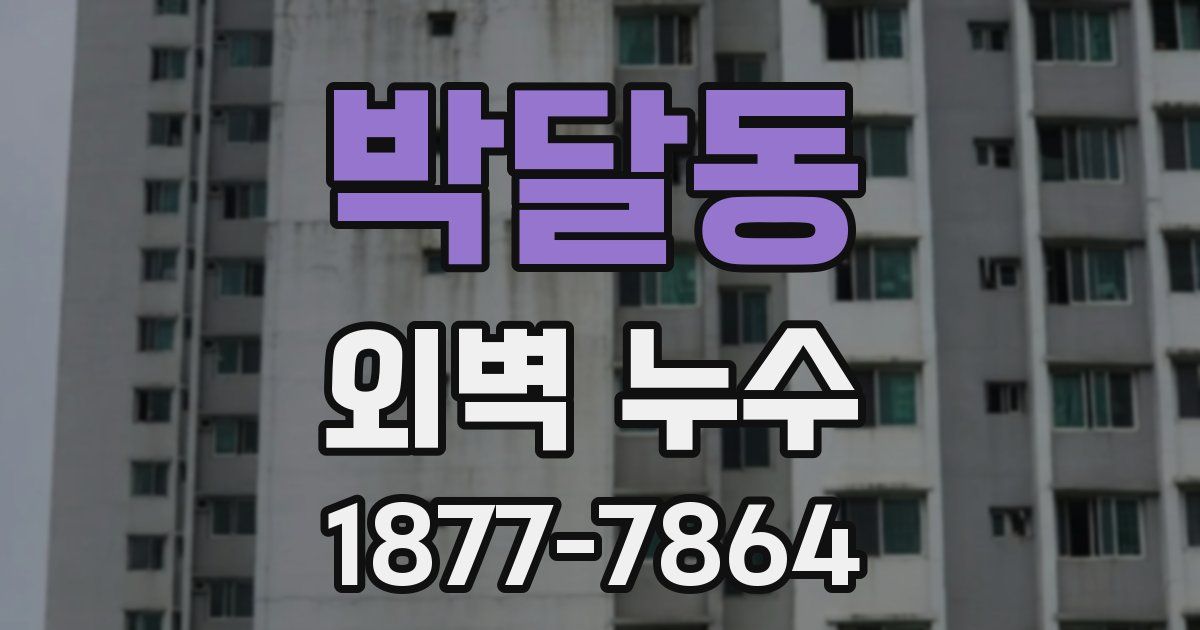 박달동 외벽 누수