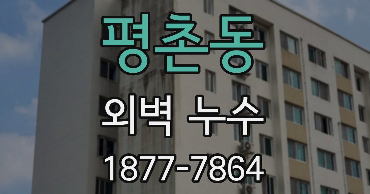 평촌동 외벽 누수