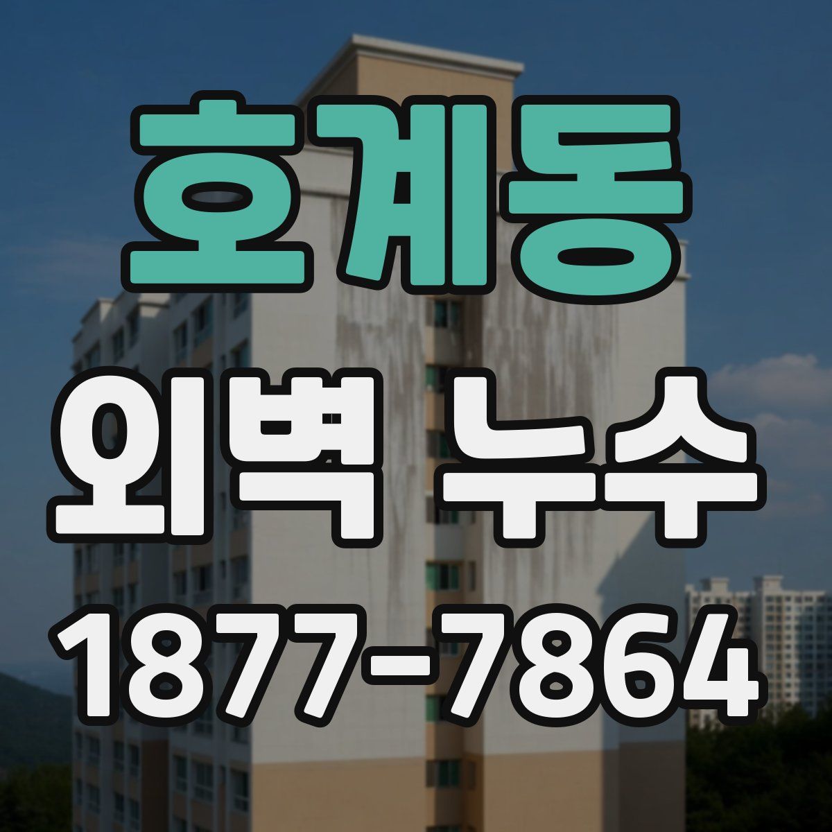 호계동 외벽 누수