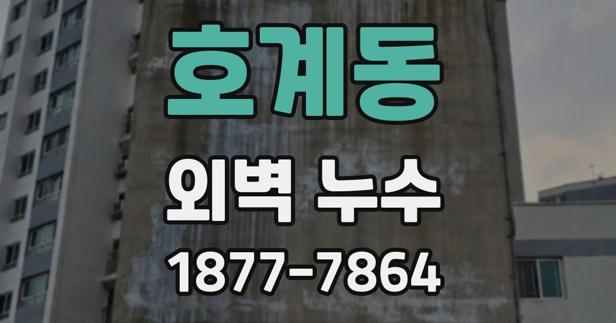 호계동 외벽 누수