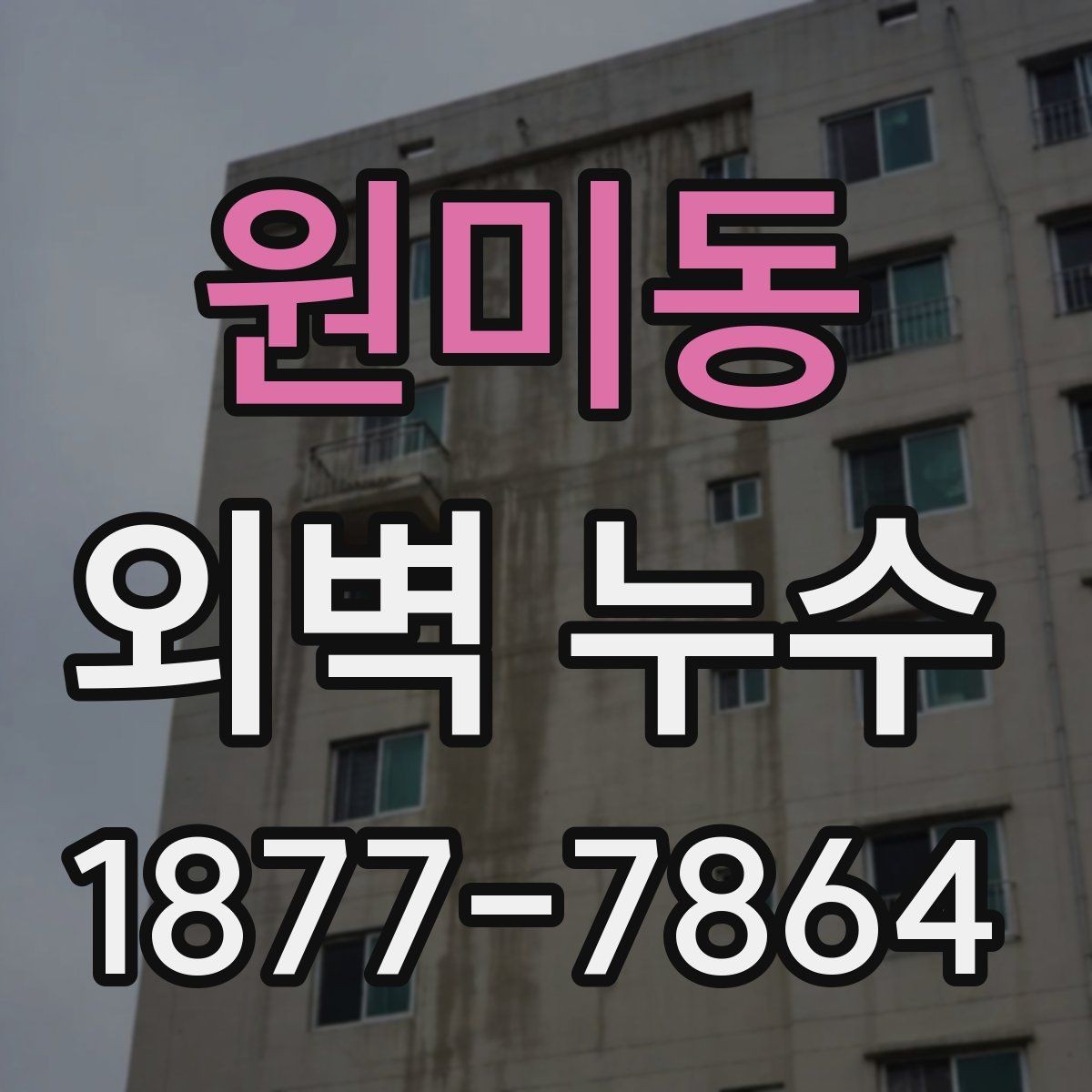 원미동 외벽 누수 확인 후 보험과 보상 살펴보기