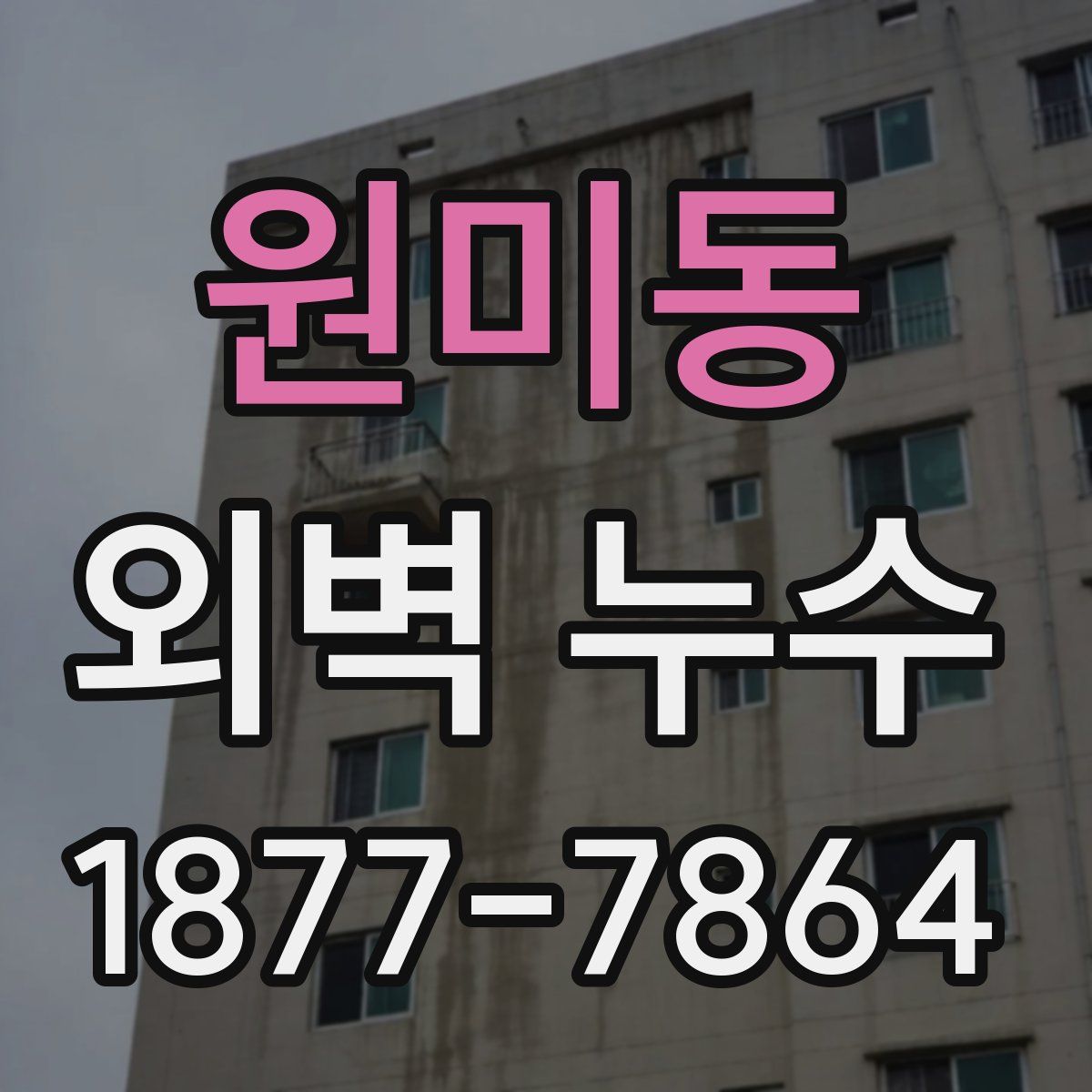 원미동 외벽 누수